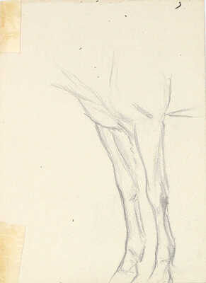 Исупов Алексей Владимирович. Лот из пяти листов с этюдами (теленок, два наброска с лошадьми, пейзаж в деревне, лес весной)